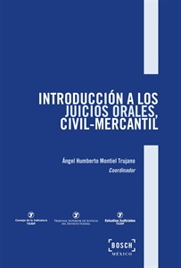 Imagen de Introducción a los juicios orales, civil-mercantil
