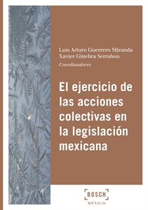 Imagen de El ejercicio de las acciones colectivas en la legislación mexicana
